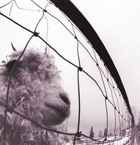 PEARL JAM-VS