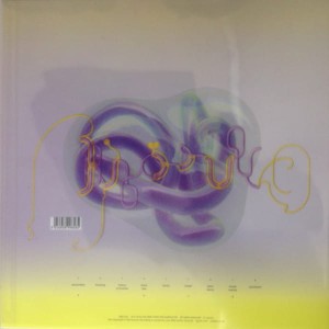 BJORK - VULNICURA