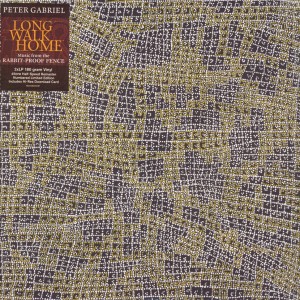 GABRIEL PETER-LONG WALK HOME