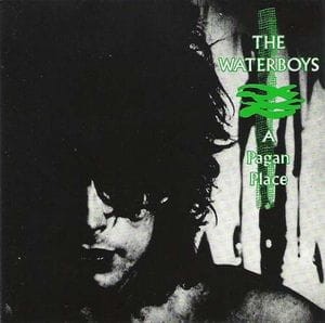 WATERBOYS THE - A PAGAN PLACE