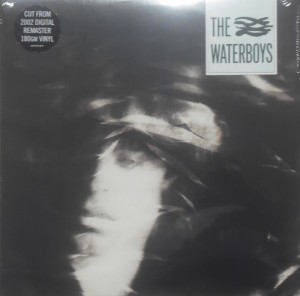 WATERBOYS THE - THE WATERBOYS